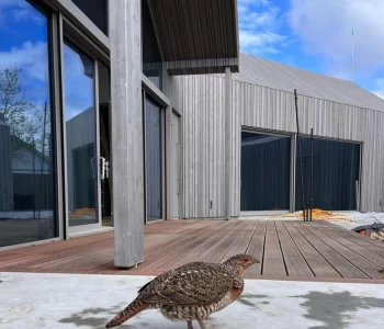 To be carried out by SIA - presence services